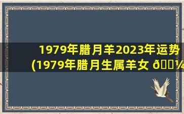 1979年腊月羊2023年运势(1979年腊月生属羊女 🐼 2021年运势)